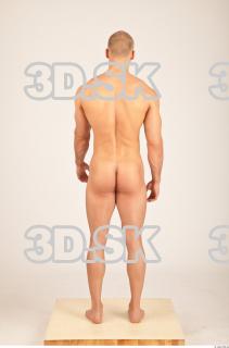 Body texture of Bystrik 0031